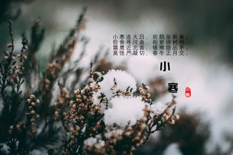 与小寒有关的古诗图片 与小寒有关的古诗图片