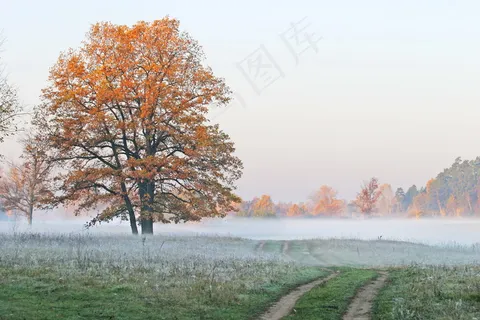 清晨秋天风景图片 清晨秋天风景图片