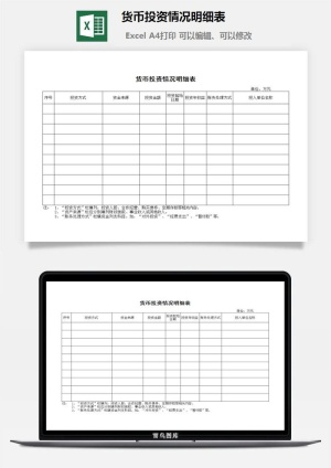 货币投资情况明细表excel模板