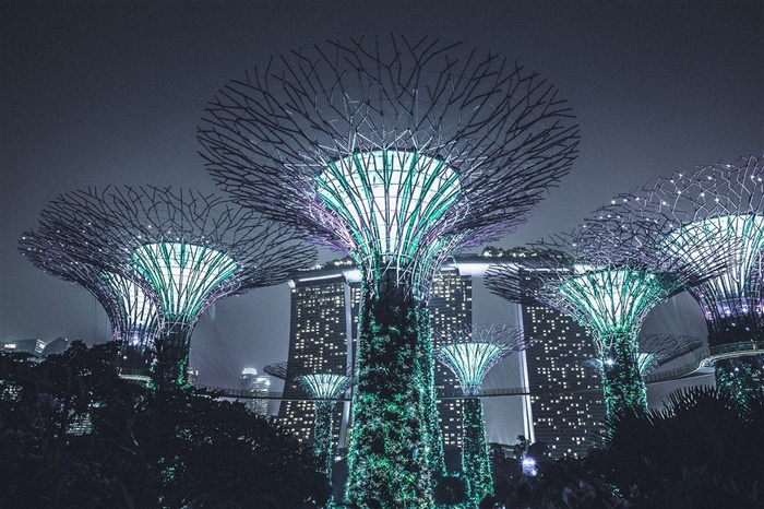 水绿建筑商务城市特殊景观霓虹灯大树城市