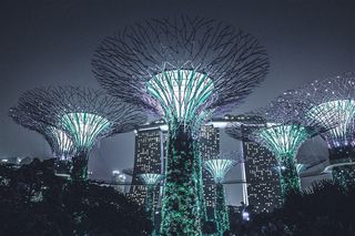 水绿建筑商务城市特殊景观霓虹灯大树城市