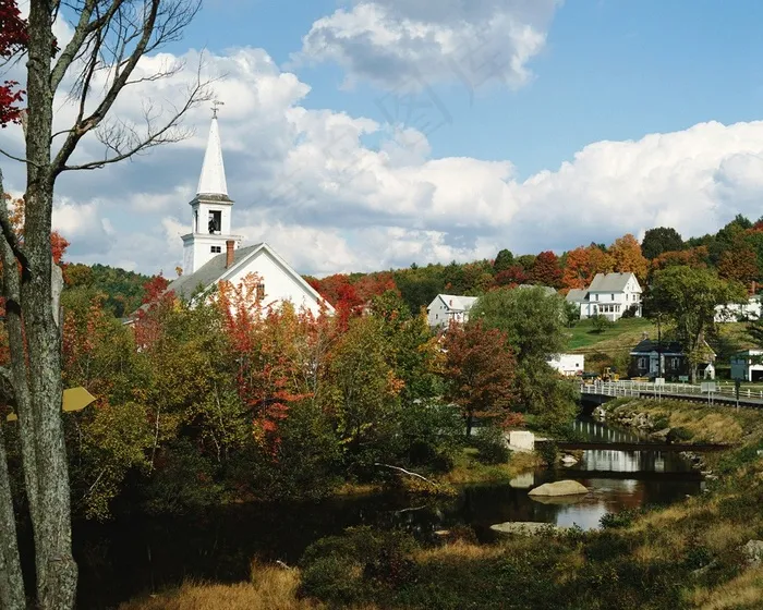枫树林间的欧式建筑洋房