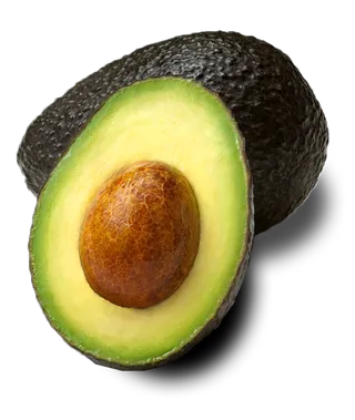 现代农业牛油果