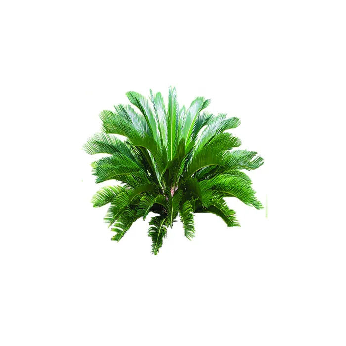 树免抠素材psd模版下载