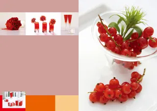 葡萄礼品盒画册