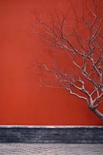 中国风红墙古风枝叶背景