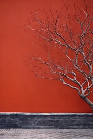 中国风红墙古风枝叶背景