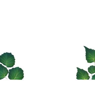 叶子绿叶花草免抠