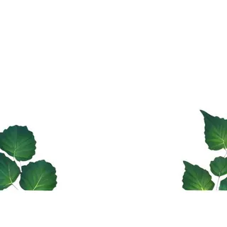 叶子绿叶花草免抠