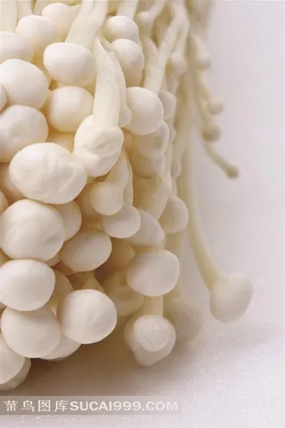 金针菇摄影新鲜蔬果