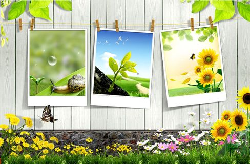 欢迎春天开花背景