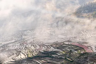 红河撒马坝梯田