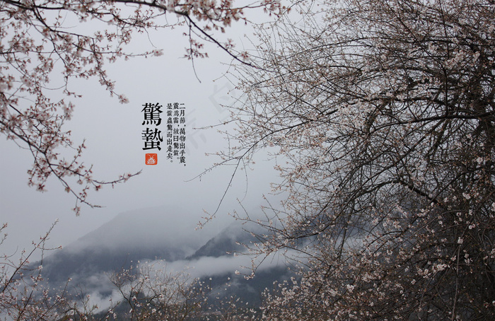 二十四节气惊蛰图片