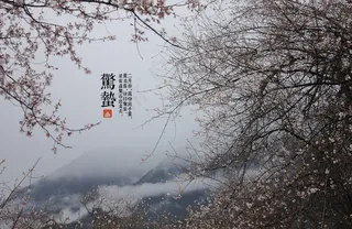 二十四节气惊蛰图片