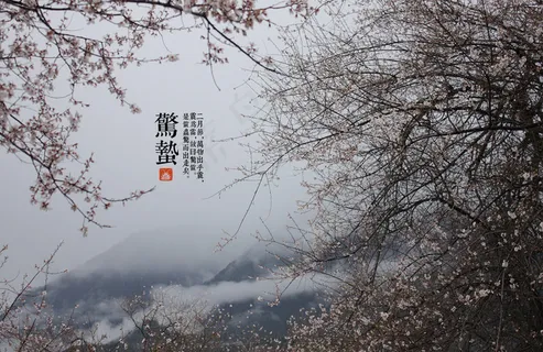 二十四节气惊蛰图片 二十四节气惊蛰图片