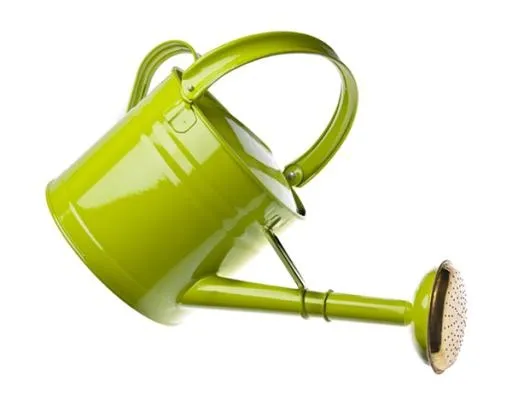 浇水绿色图像可以PNG免抠(600x488)