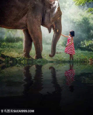 小美女与泰国大象图片