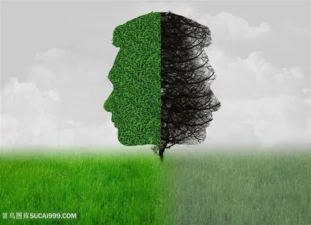 健康与疾病的对比草地 健康与疾病的对比草地