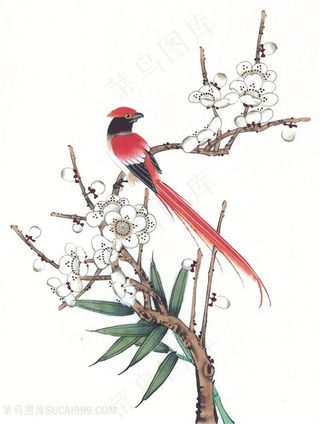 玉兰花枝花鸟装饰画