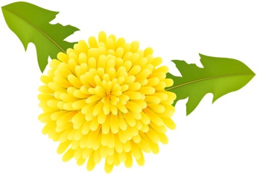 蒲公英免抠(600x411)
