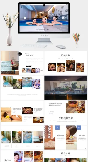 项目策划PPT预览图