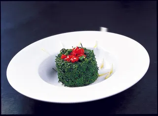 LCSC2486深山云龙菜  26