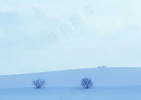冰天雪地 304 冰天雪地 304