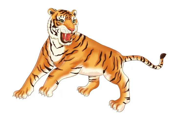 手绘国潮虎年卡通白虎老虎形象插画装饰元素PSD设计素材png免抠图psd模版下载