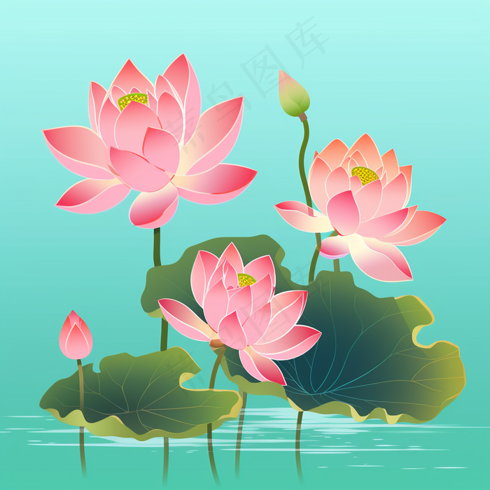 荷花莲花荷叶盛开卡通插画(3072x3072)
