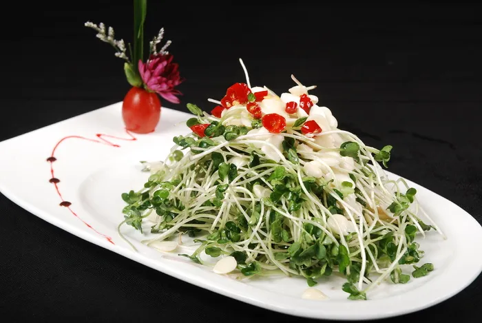 LCSC2250清爽萝卜苗