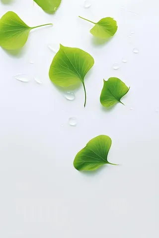 白底绿叶简约清新背景