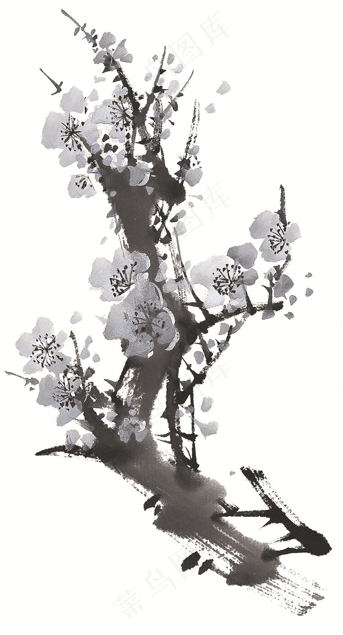 花卉美术绘画图片素材