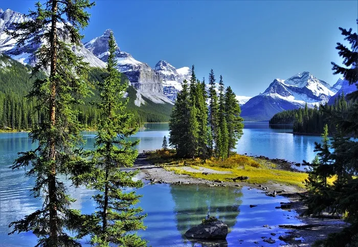 冬天自然背景风景