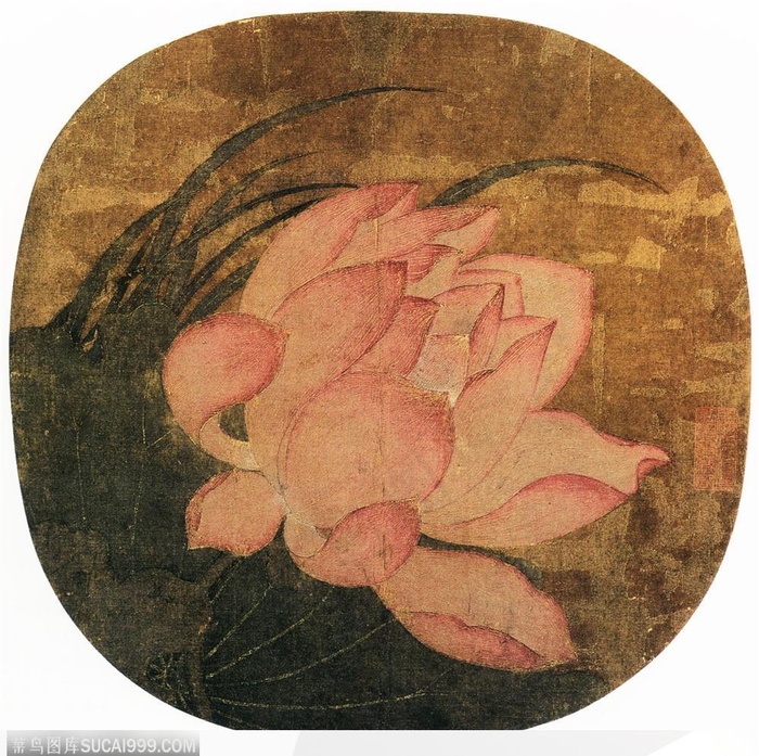 花鸟篇-大风吹偏的荷花