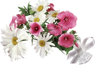 花饰和花束 免抠