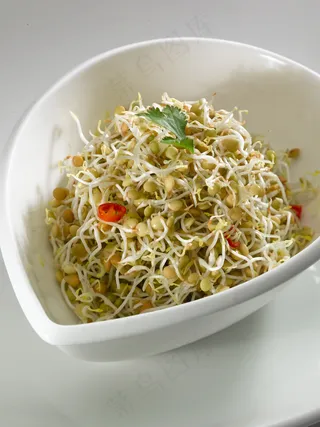 LCSC3330鲜辣扁豆芽  20元份