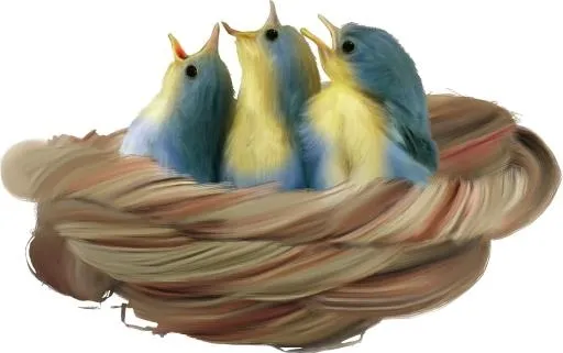 鸟巢 PNG免抠(1538x967)