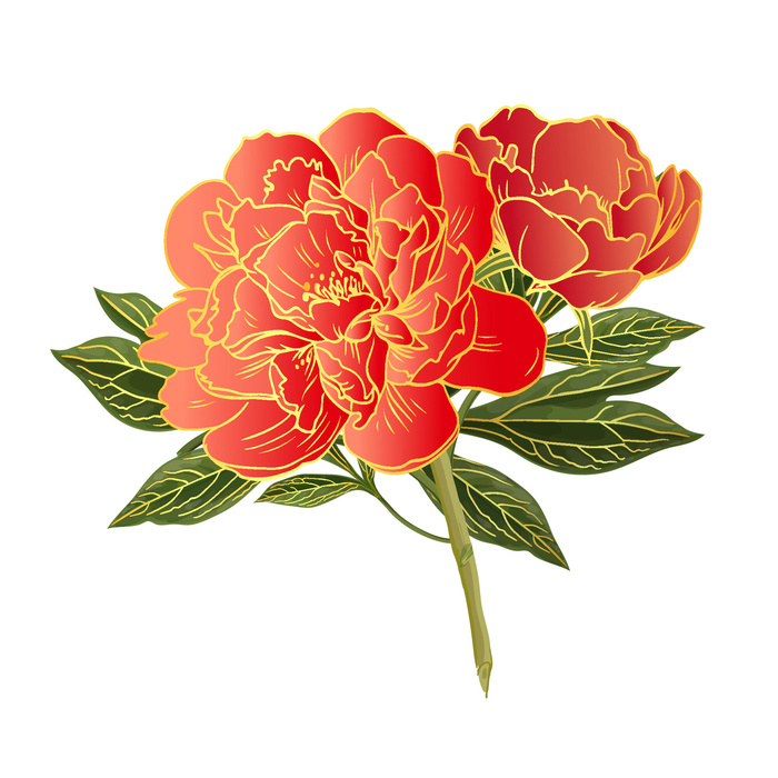 手绘国潮中国风古典牡丹花国花花卉装饰图案PSD设计素材