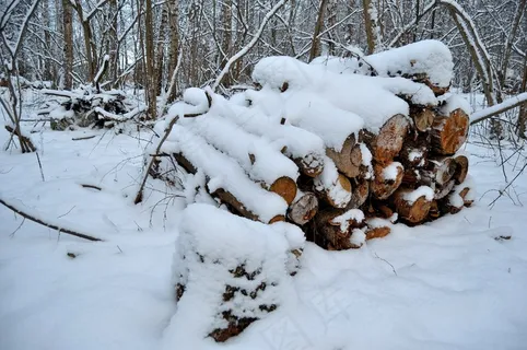 森林雪地木材堆图片 森林雪地木材堆图片