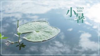 24节气小暑