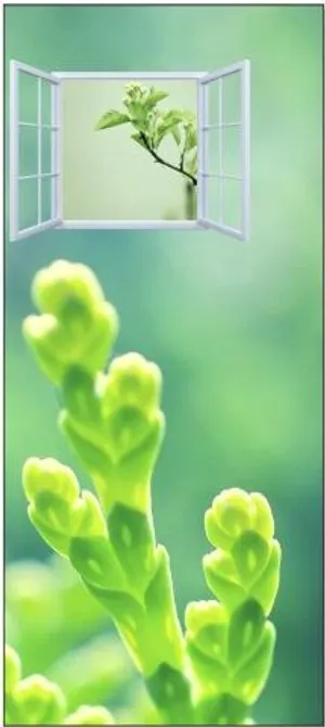 窗口绿色清新萌芽