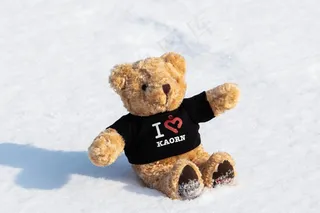 雪地上毛绒娃娃图片