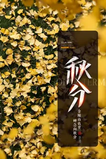 质感秋分促销海报
