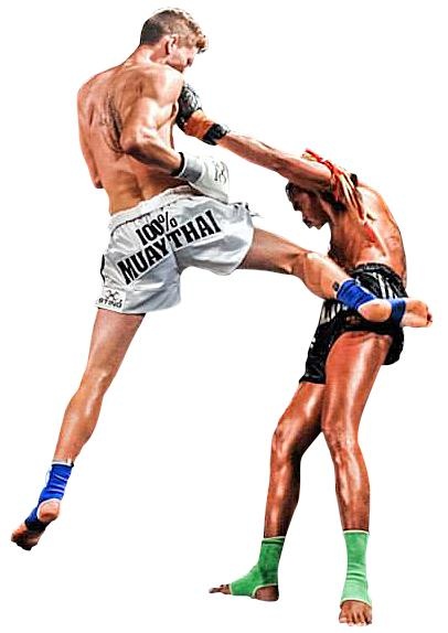 泰拳 PNG免抠(406x574)