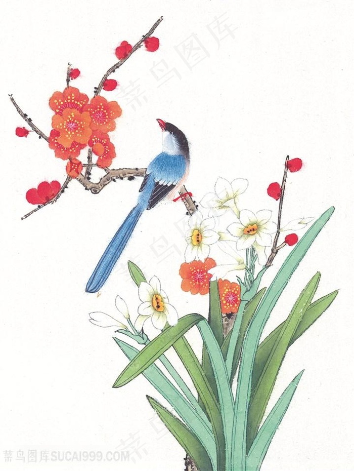 花鸟树枝时尚高清装饰画