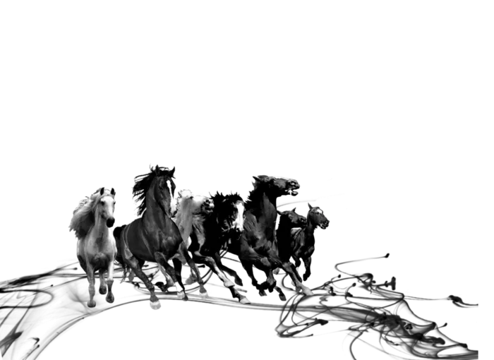 中国风水墨骏马