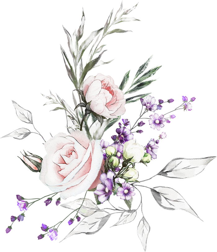 牡丹花花朵素材装扮卡通谷雨