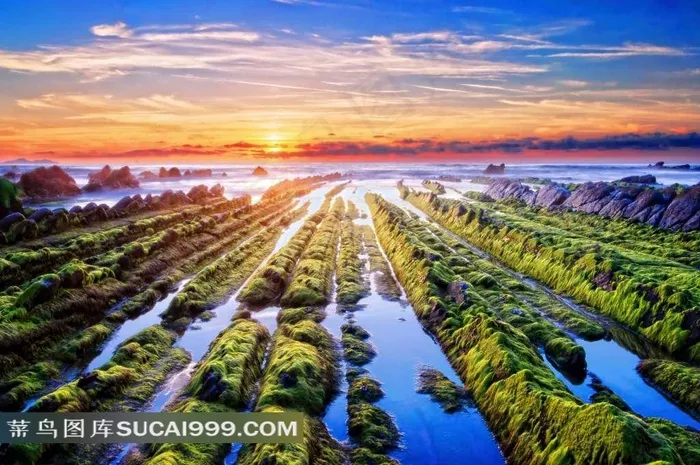 沼泽地带山水风景图片