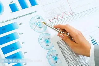 年度报告会上的外国商务男士图片