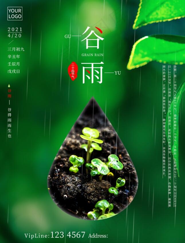 谷雨节气摄影绿色清新海报